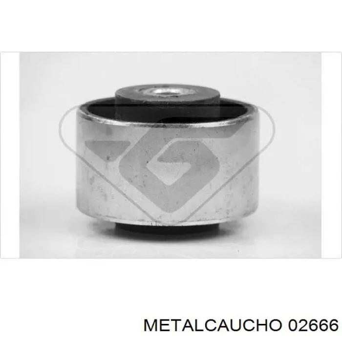 030203 Cautex Taco de motor
