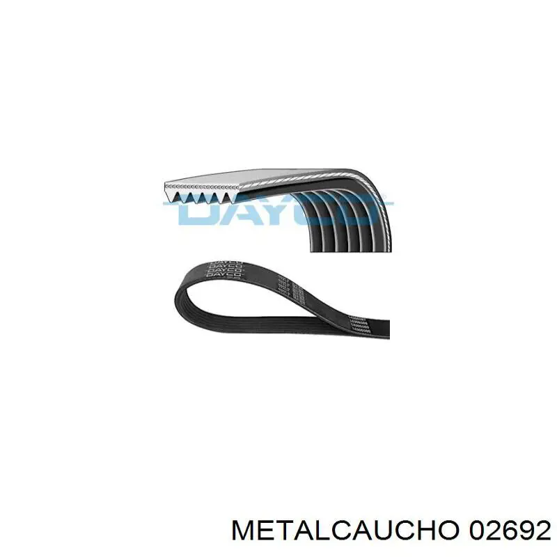 Soporte escape 030908 Cautex