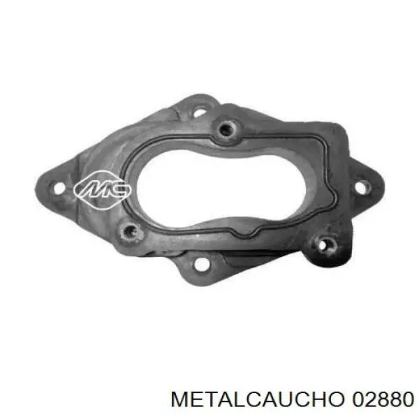 Brida de carburador Cautex 957001 precio, desde 18,23 EUR