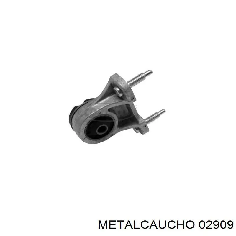 Comprar 030891 Cautex Silentblock trasero