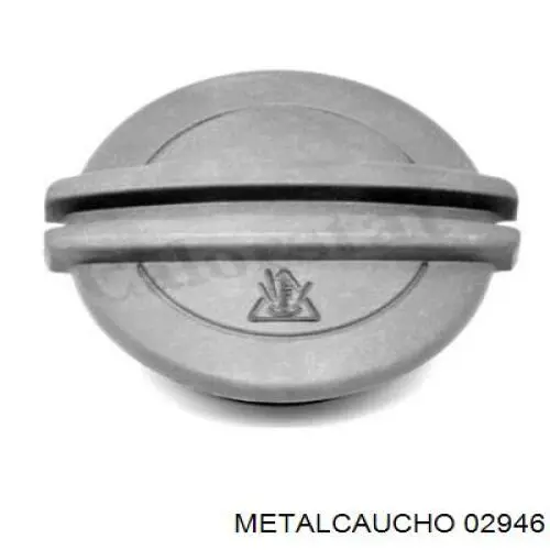 Copela de amortiguador delantero derecho Metalcaucho 02946