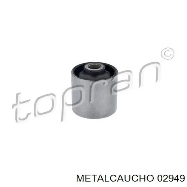 Suspensión, cuerpo del eje trasero Fiat Scudo 220P