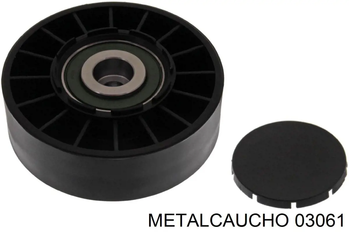  03061 Metalcaucho