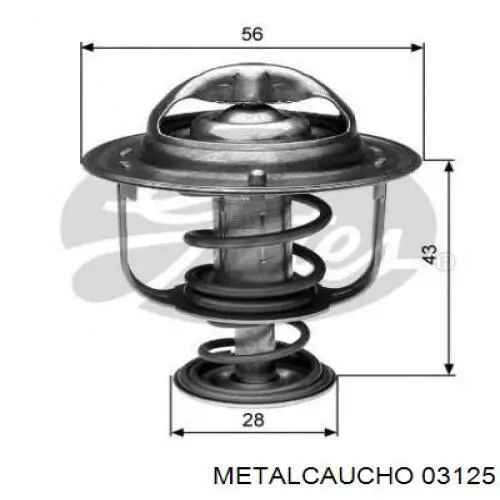  Cautex 955162 precio, desde 27,90 EUR
