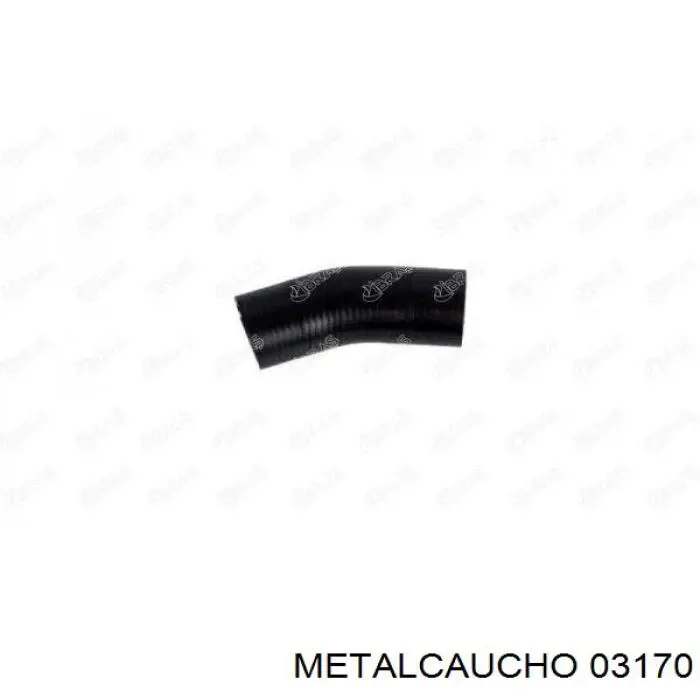 03170 Metalcaucho