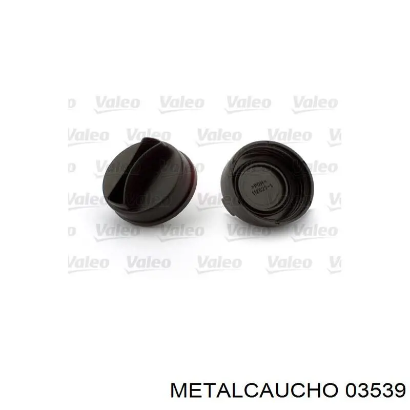 Tapa de termostato FT58188 Fast
