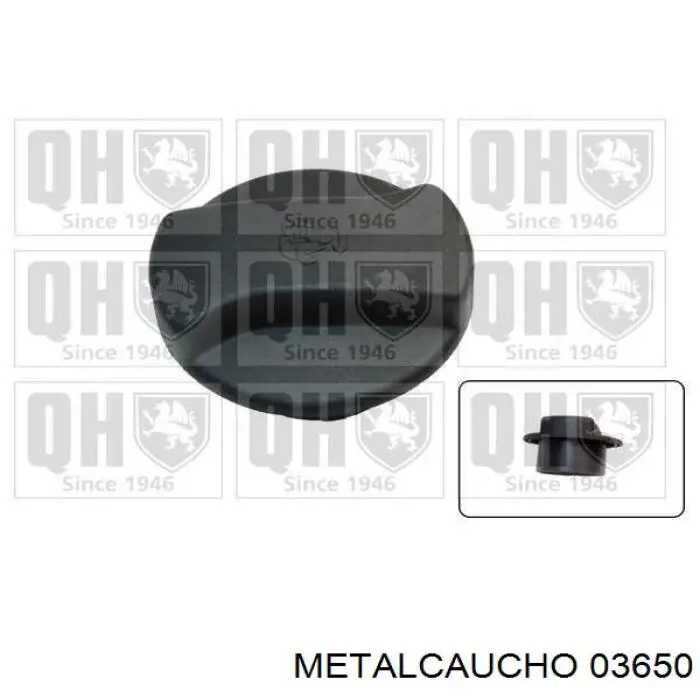 Tapa de radiador Seat Alhambra 7V8, 7V9