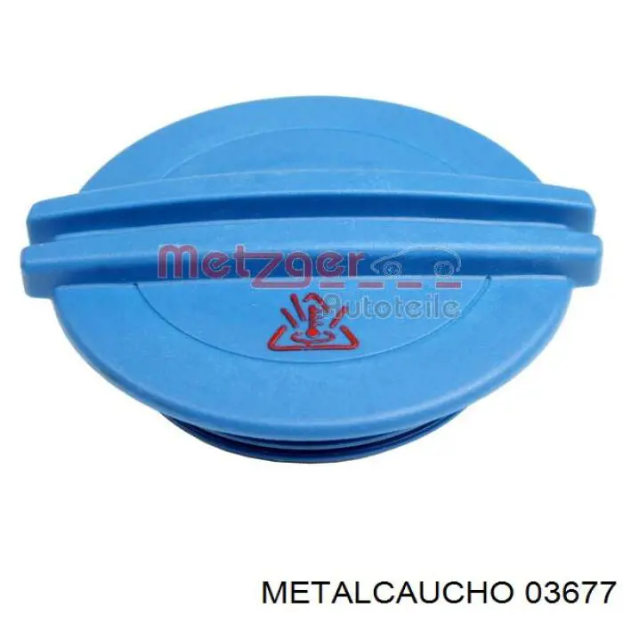 Tapón de expansión de refrigerante/anticongelante Volkswagen Passat 362