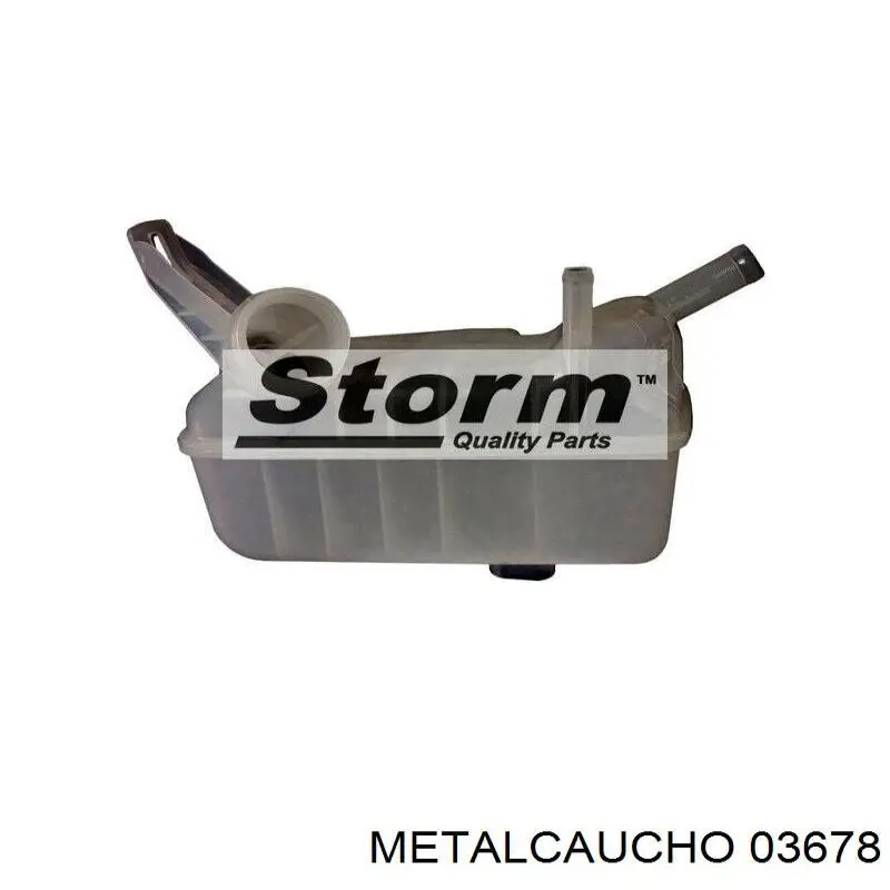 Botella de refrigeración Renault Megane 2 LM0, LM1