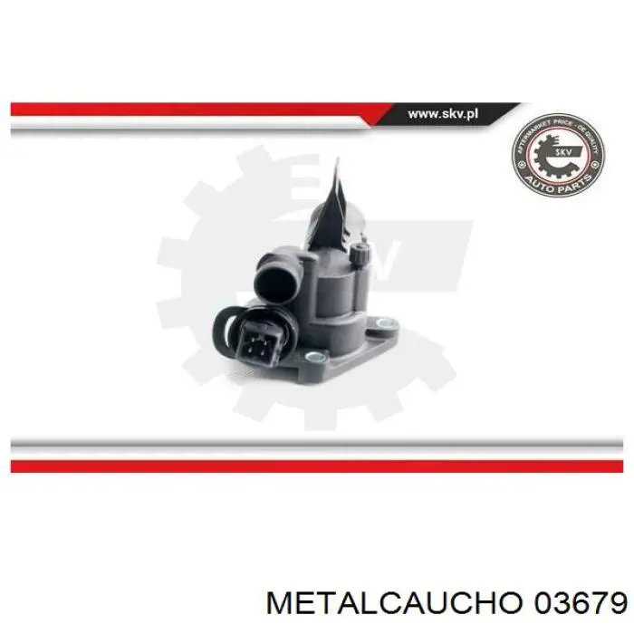 Termostato, refrigerante Nissan Tiida C11X