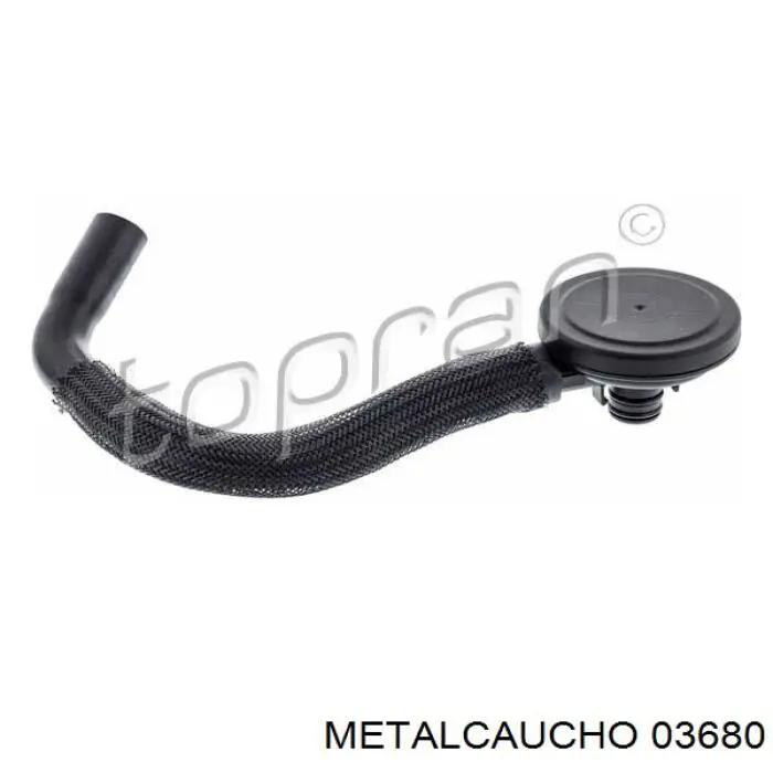 Separador de aceite del sistema de ventilación del cárter FT61844 Fast