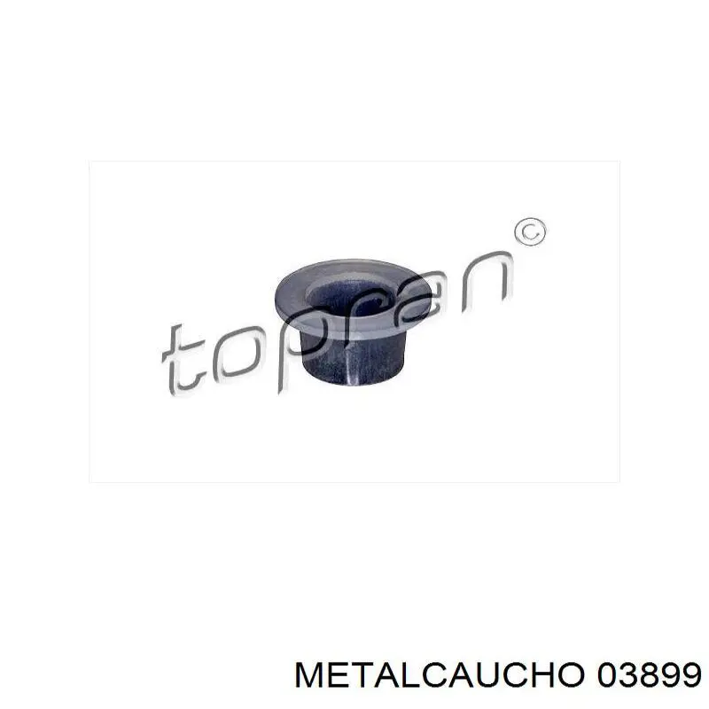 Terminal del cable de cambio Cautex 754991