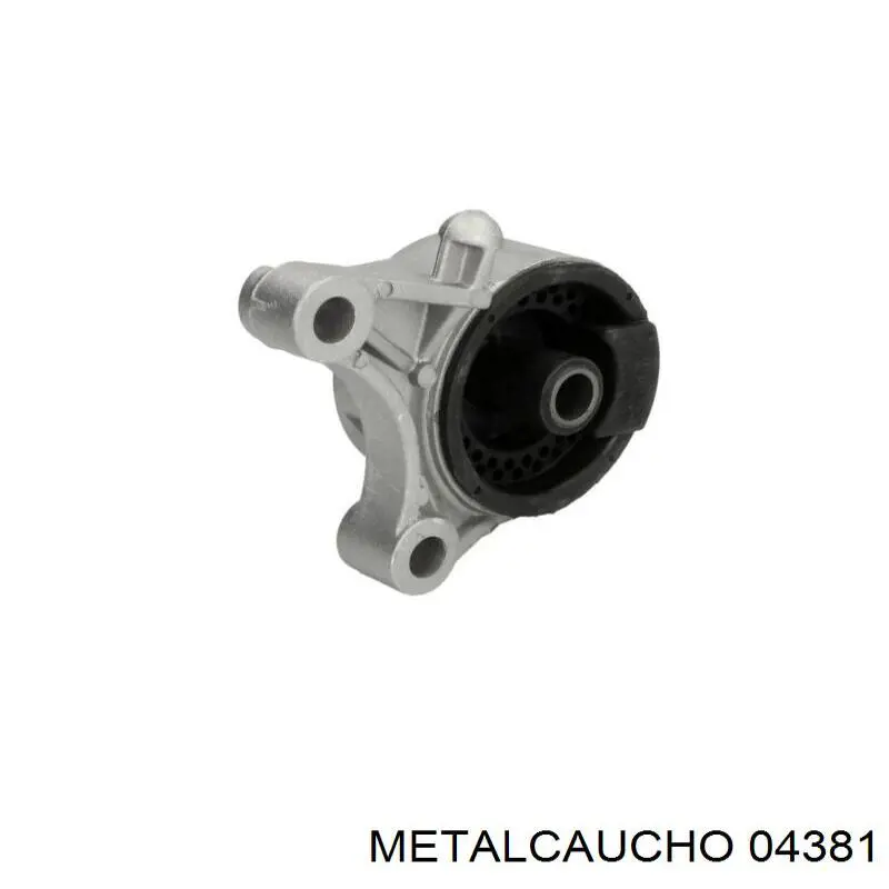 Soporte de motor delantero Cautex 480481 precio, desde 20,62 EUR