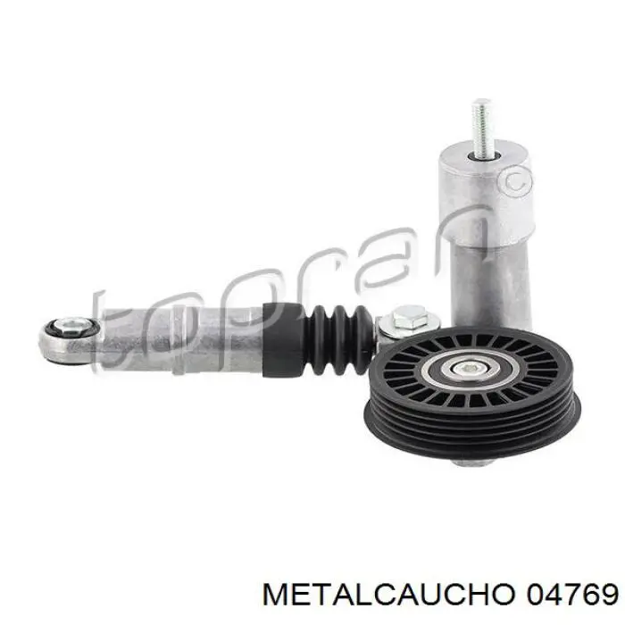 Polea inversión/guía, correa auxiliar servicios Metalcaucho 04769 precio, desde 47,97 EUR