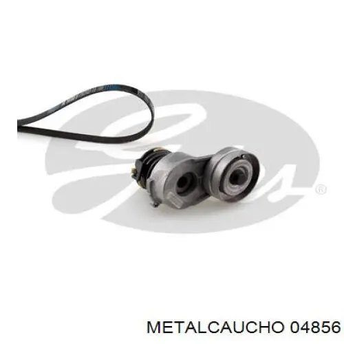 Polea del cigüeñal Metalcaucho 04856 precio, desde 42,26 EUR