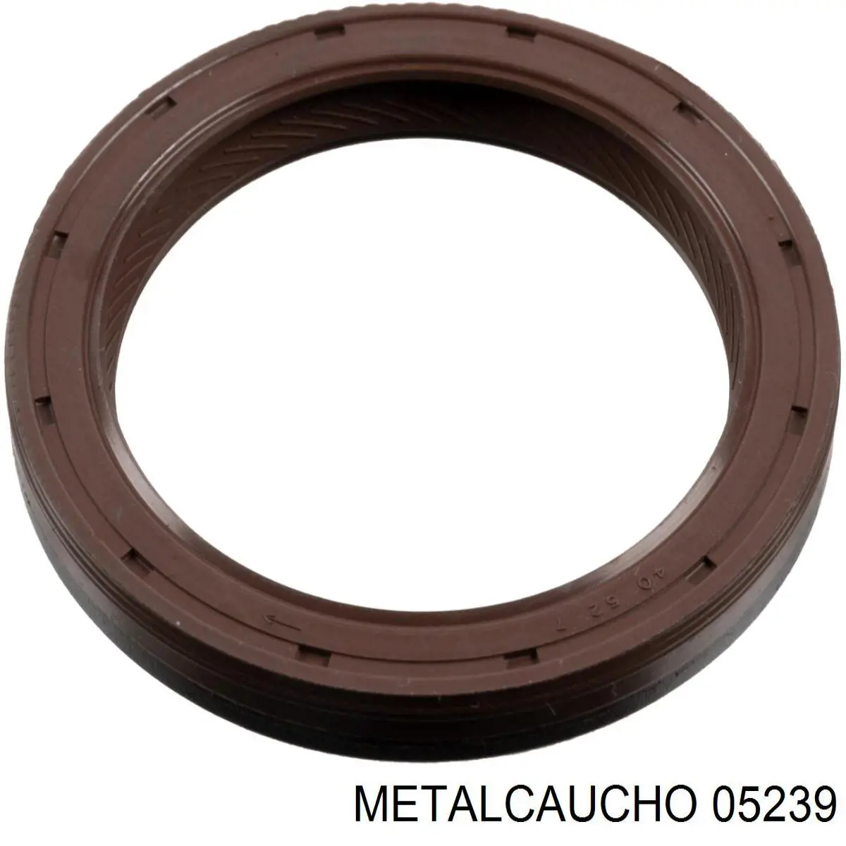 Kit de cadena de distribución Cautex 481215 precio, desde 96,76 EUR