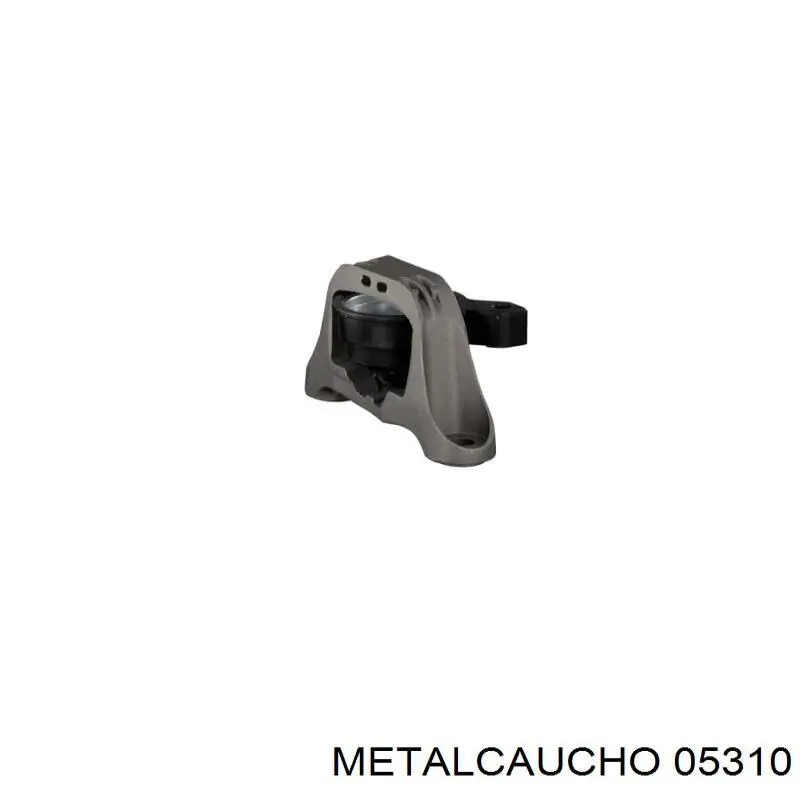 Soporte de motor derecho Cautex 081024 precio, desde 37,91 EUR