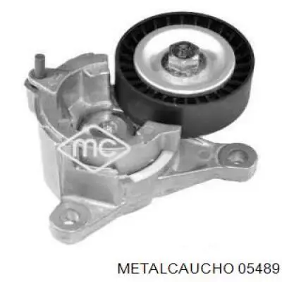 Tensor de la correa trapecial Peugeot/Citroen 0000575161 precio, desde 30,08 EUR