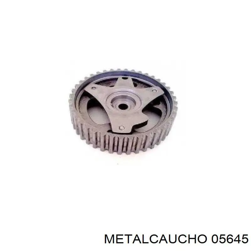 Piñón cadena distribución Nissan Micra K12