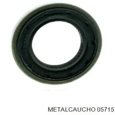 60806095 Fiat/Alfa/Lancia Retén del eje primario de la transmisión