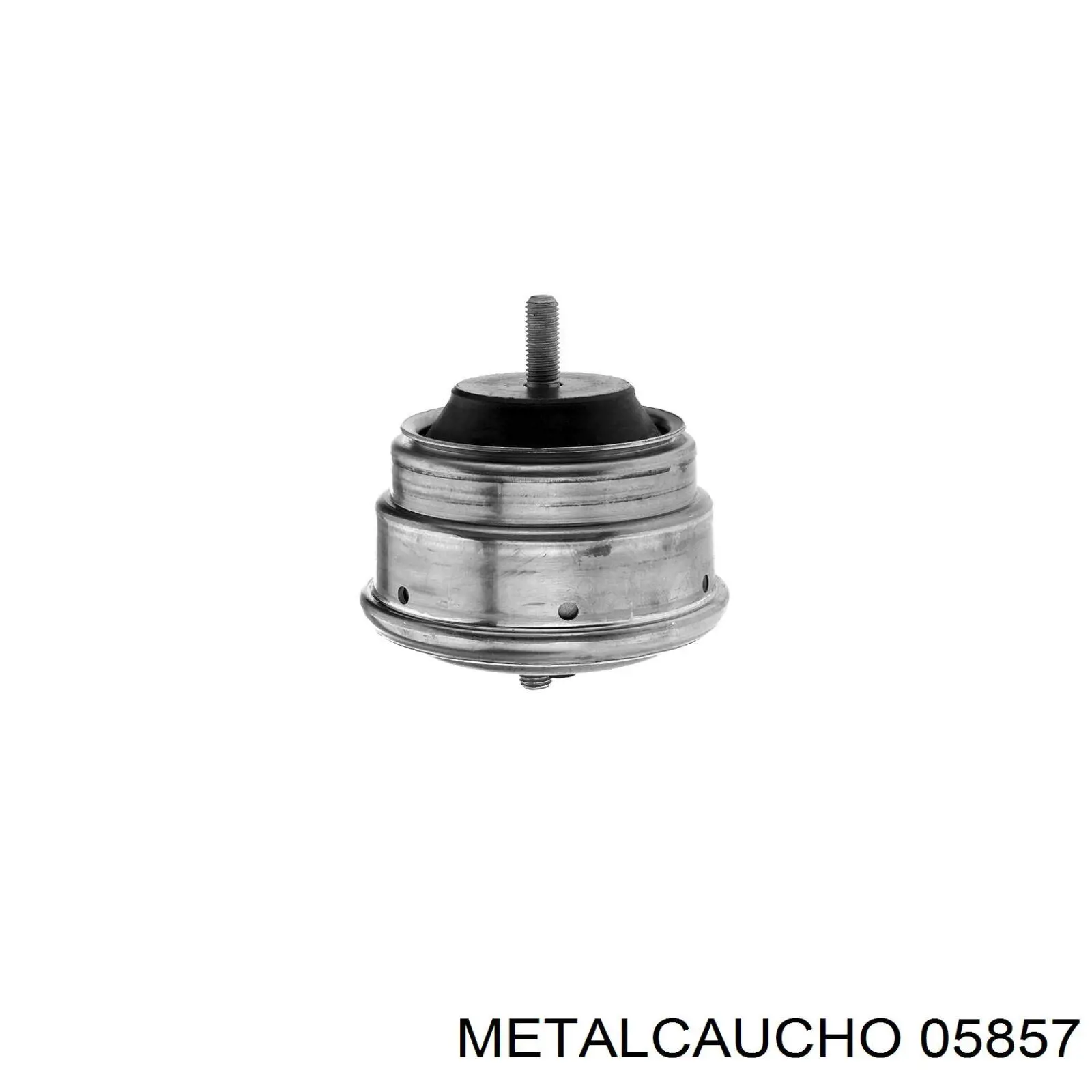 22116752742 BMW Soporte de motor derecho