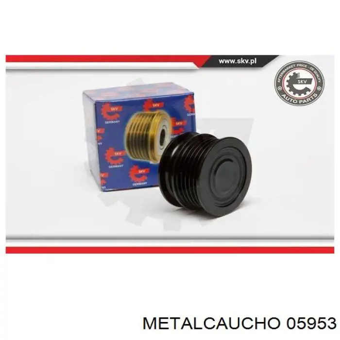 Polea rueda libre General Motors P0032 precio, desde 27,32 EUR