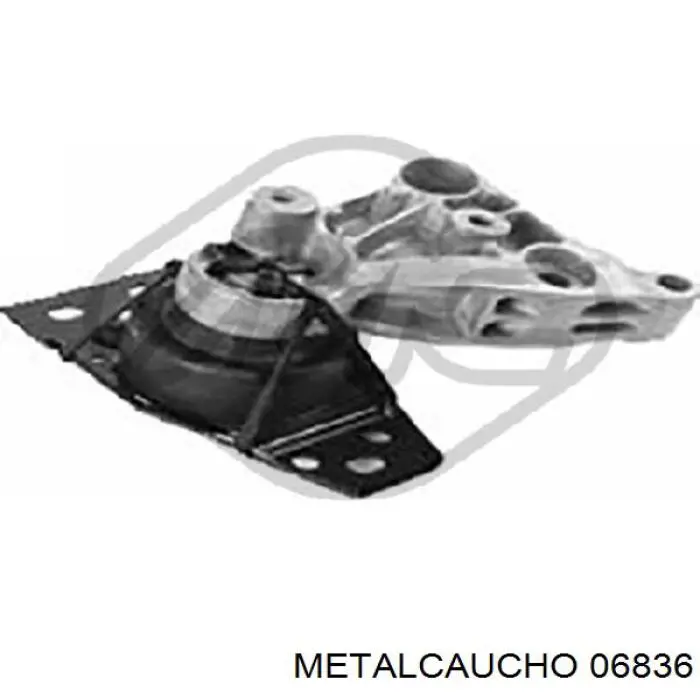 021501 Cautex Soporte delantero derecho del motor