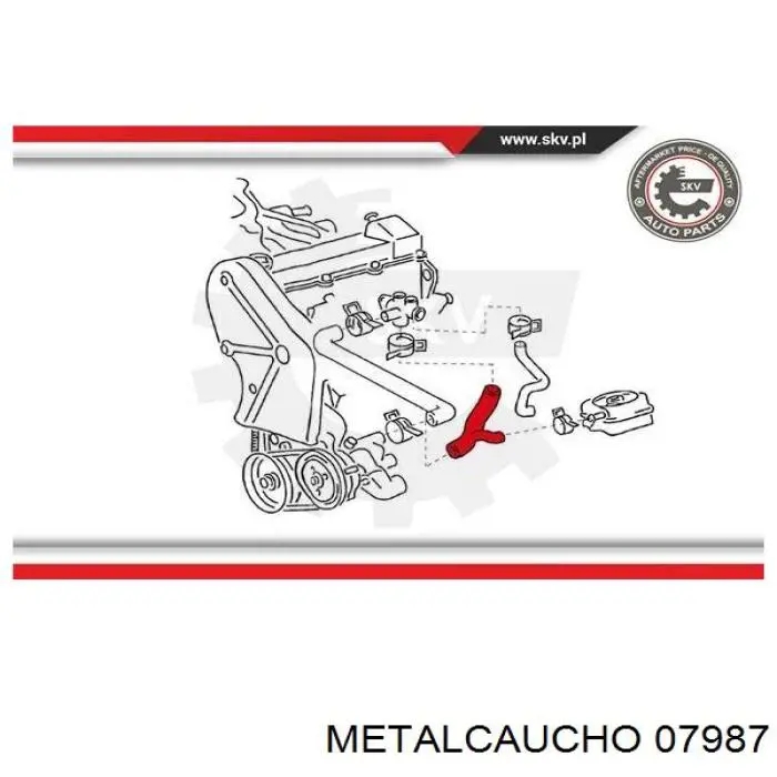 Comprar 466001 Cautex Manguera de agua refrigerante