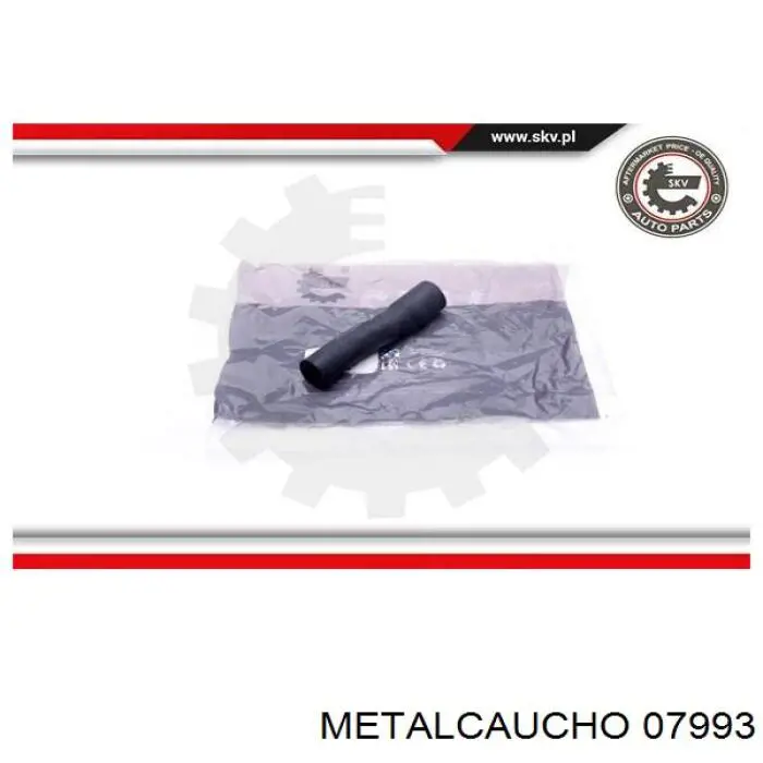 Manguera (conducto) del sistema de refrigeración Seat Toledo 1 1L