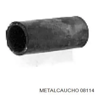 Manguera inferior del radiador Cautex 026082 precio, desde 3,82 EUR