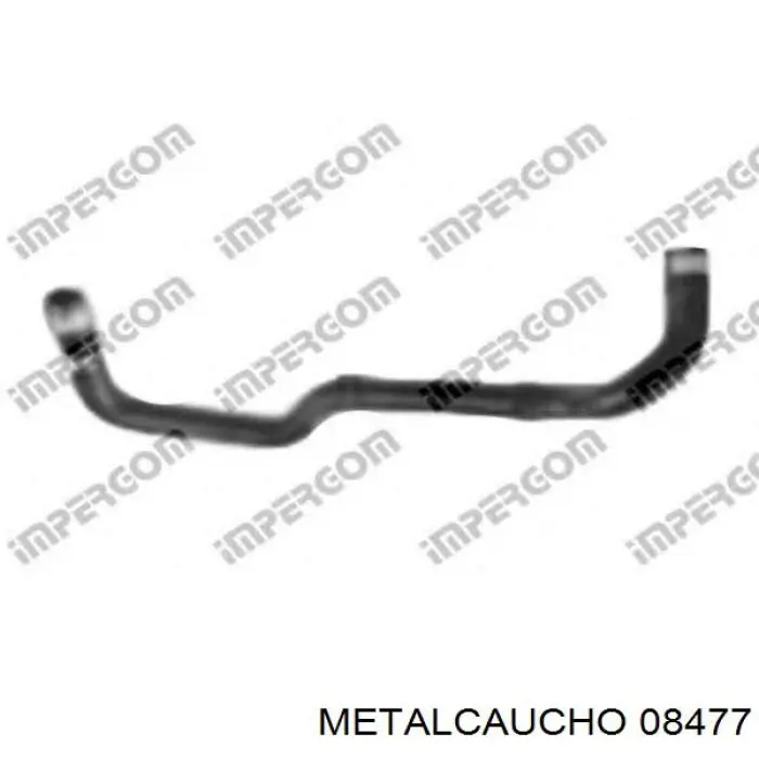 Manguera inferior del radiador Cautex 036351 precio, desde 31,97 EUR
