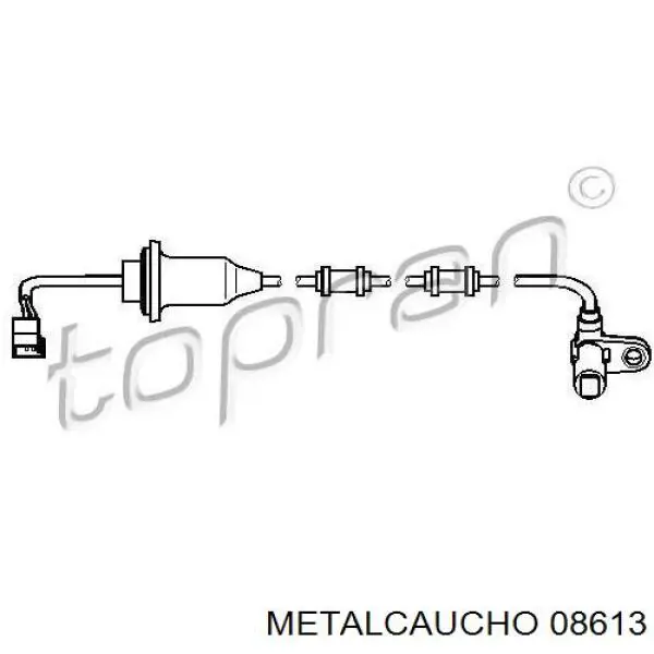 036371 Cautex 