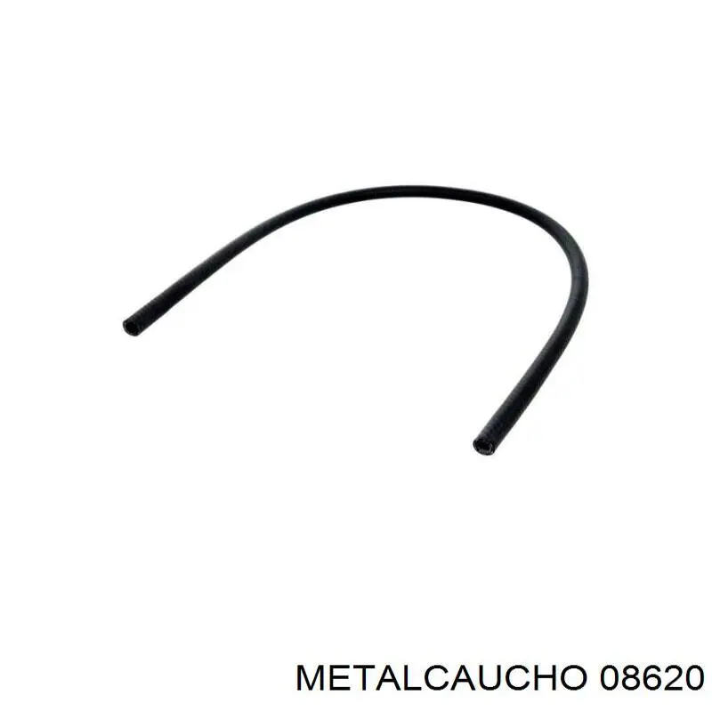 Comprar 035072 Cautex Manguera superior del radiador