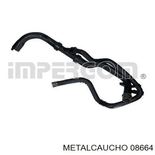 Manguera inferior del radiador 31428 Cautex