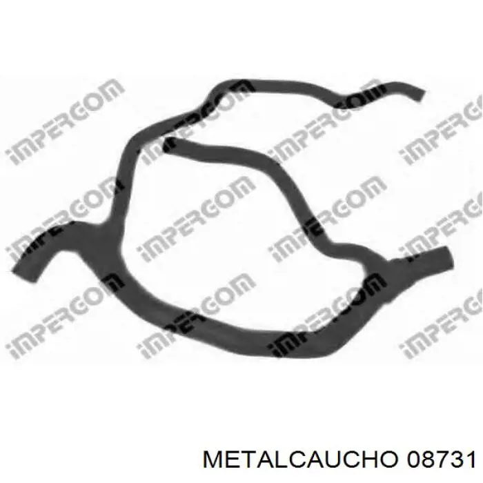 Comprar 026522 Cautex Manguera inferior del radiador