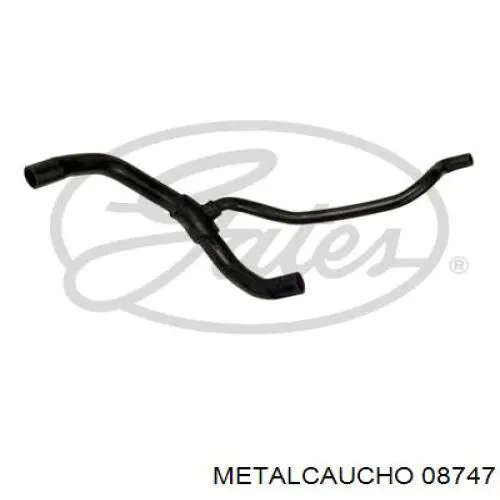 Manguera inferior del radiador Cautex 026549 precio, desde 28,63 EUR