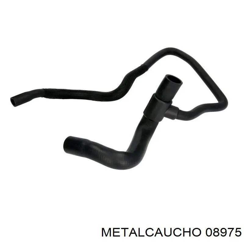 Comprar 481079 Cautex Manguera inferior del radiador