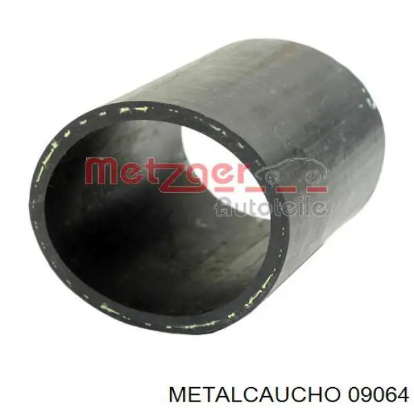 Manguera del intercooler Cautex 466818 precio, desde 5,14 EUR