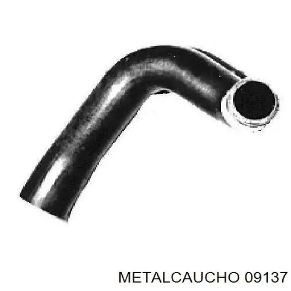  09137 Metalcaucho