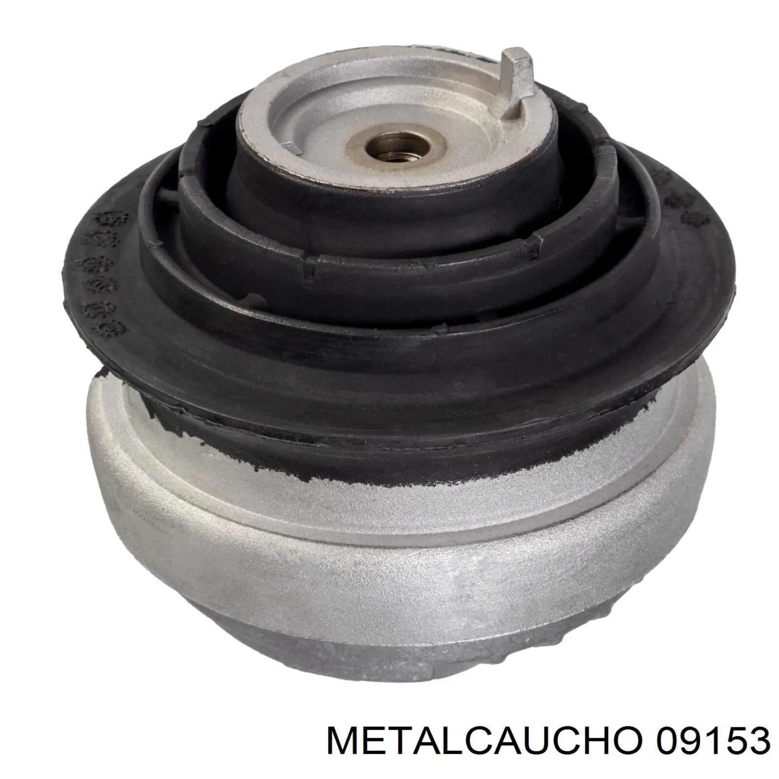 9153 Metalcaucho