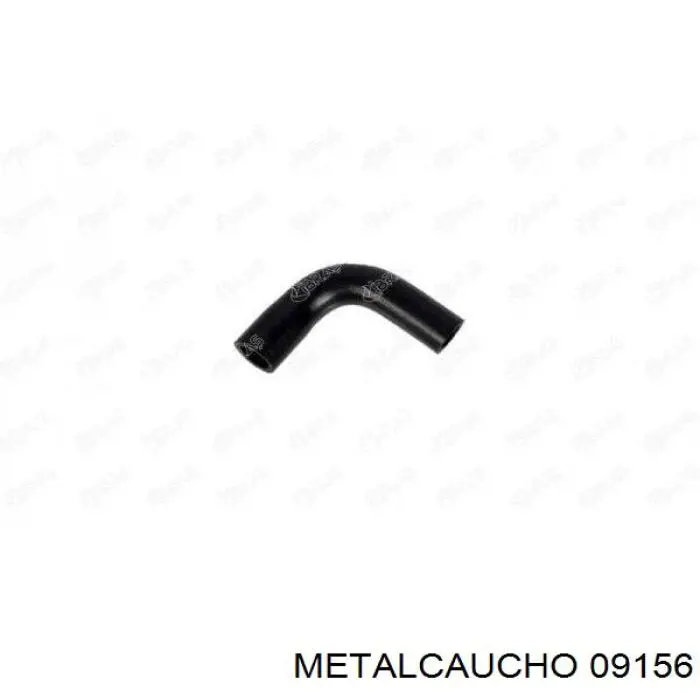 Manguera del termostato 026828 Cautex