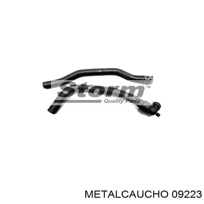  09223 Metalcaucho