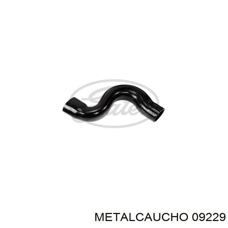 Tubo de salida de aire del turbocompresor Cautex 036796 precio, desde 11,15 EUR