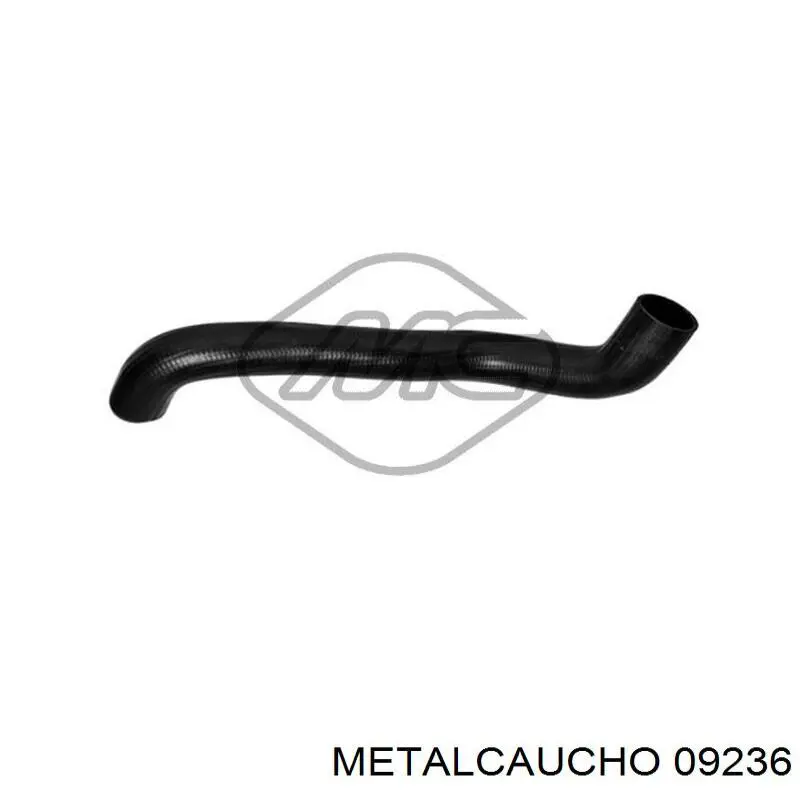 Manguera del intercooler Cautex 036715 precio, desde 16,41 EUR