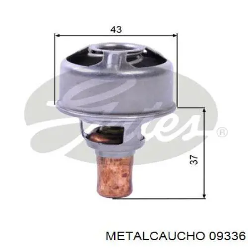 Manguera inferior del radiador Metalcaucho 09336