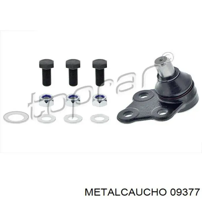 Manguera del intercooler Cautex 011416 precio, desde 27,31 EUR