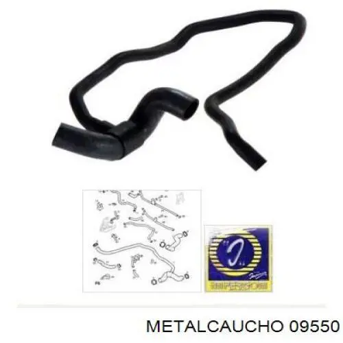 Comprar 481113 Cautex Manguera inferior del radiador