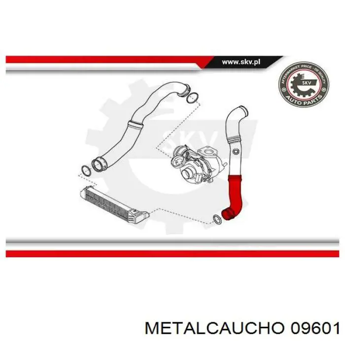 206033 Cautex Manguera del intercooler