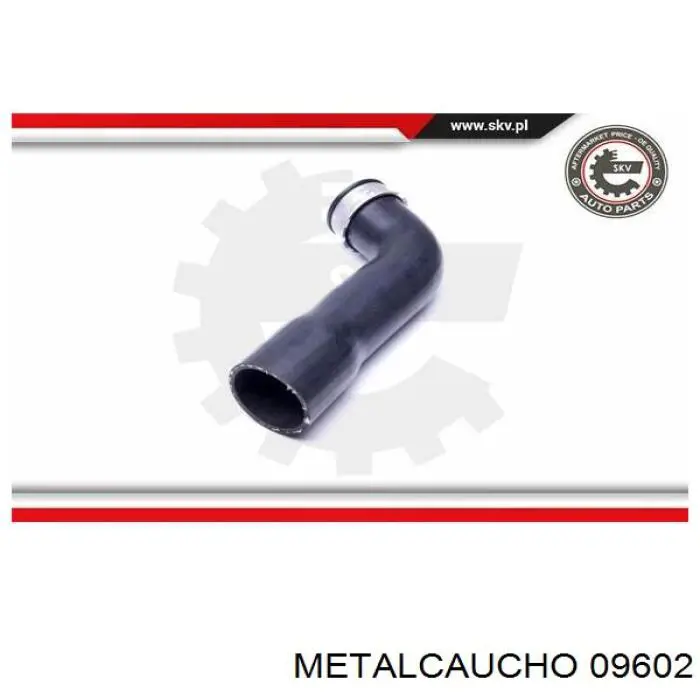 Manguera del intercooler Cautex 206034 precio, desde 34,59 EUR