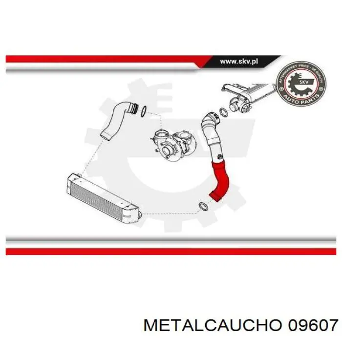 Manguera del intercooler Cautex 206035 precio, desde 50,33 EUR